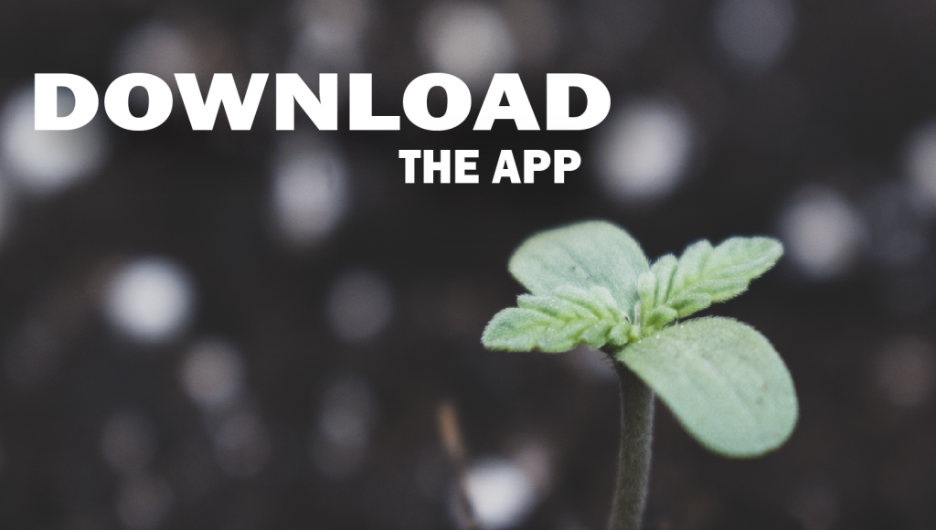 Download the STNR.TV App